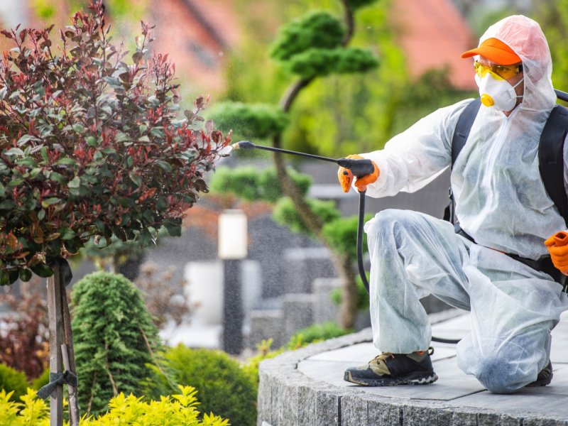 Limontepe Haşere İlaçlama