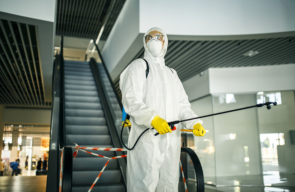 Limontepe Haşere İlaçlama